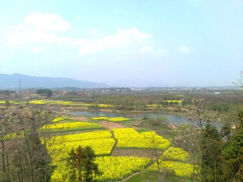 校园一角 校园一角