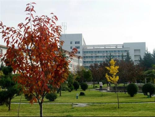 校园一角 校园一角