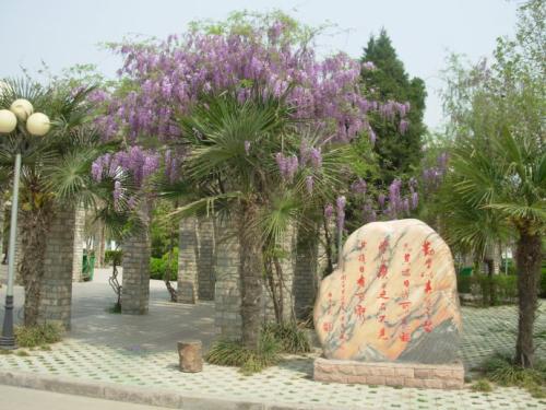 校园一角 校园一角