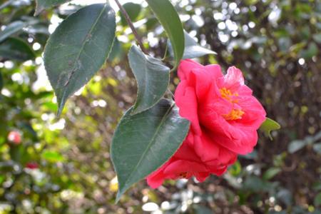 校园一角 校园一角