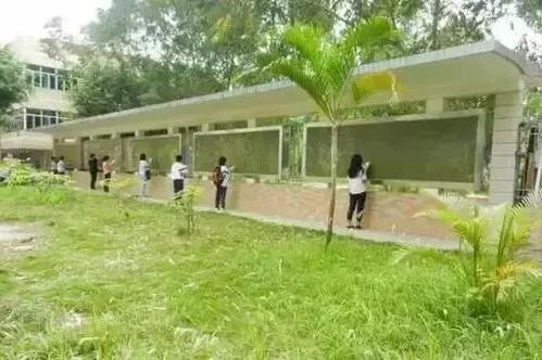 校园一角 校园一角