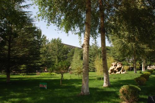 校园一角 校园一角