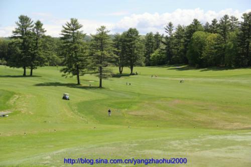 校园一角 校园一角