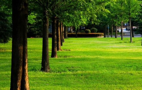 校园一角 校园一角