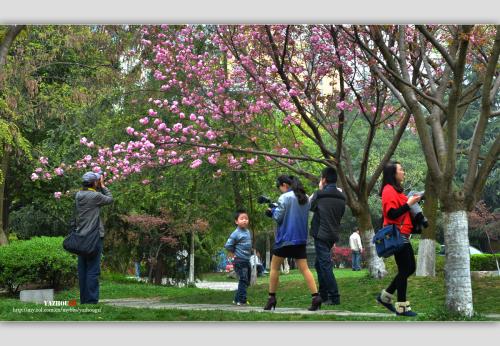 校园一角 校园一角