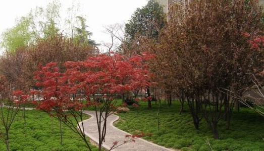 校园一角 校园一角