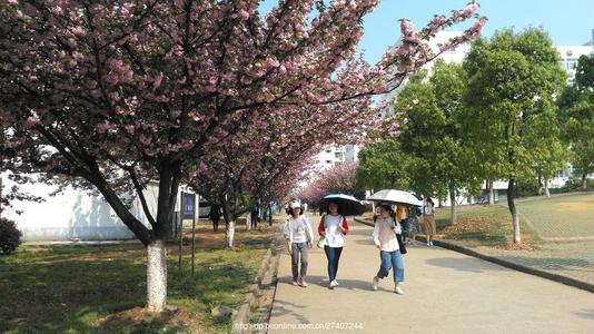 校园一角 校园一角