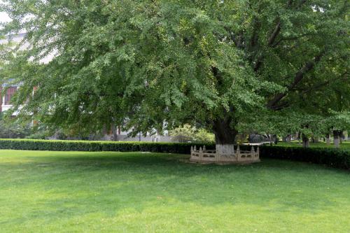 校园一角 校园一角