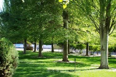 校园一角 校园一角