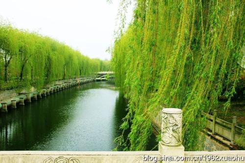 校园一角 校园一角