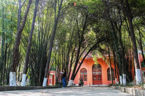 校园一角 校园一角