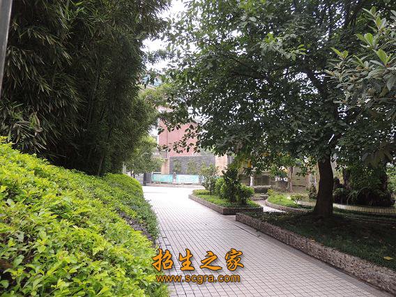 校园风光