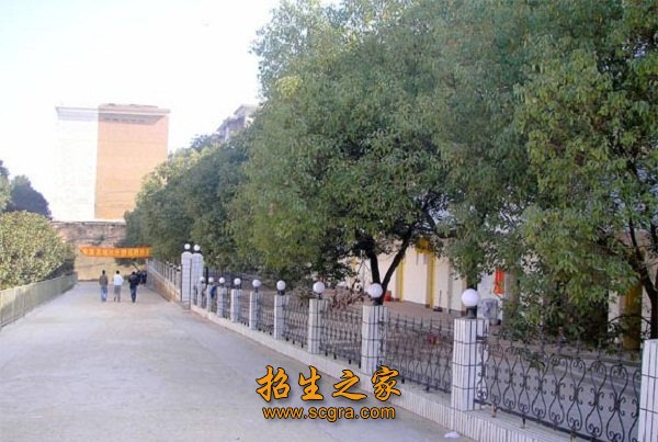 校园一角