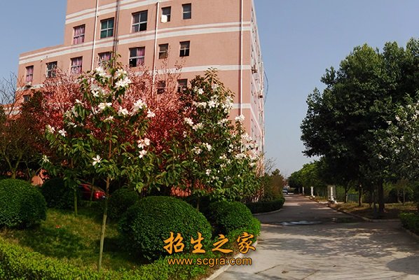 校园风光