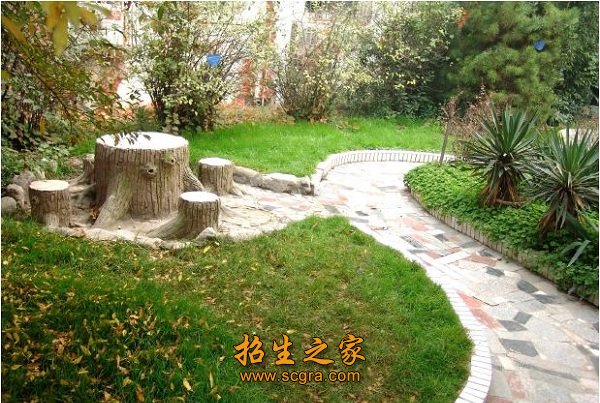学校环境