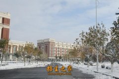 沙洲职业工学院