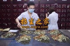 中药药剂学的专业特色【