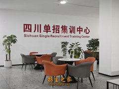 成都市区单招培训机构有哪些，有